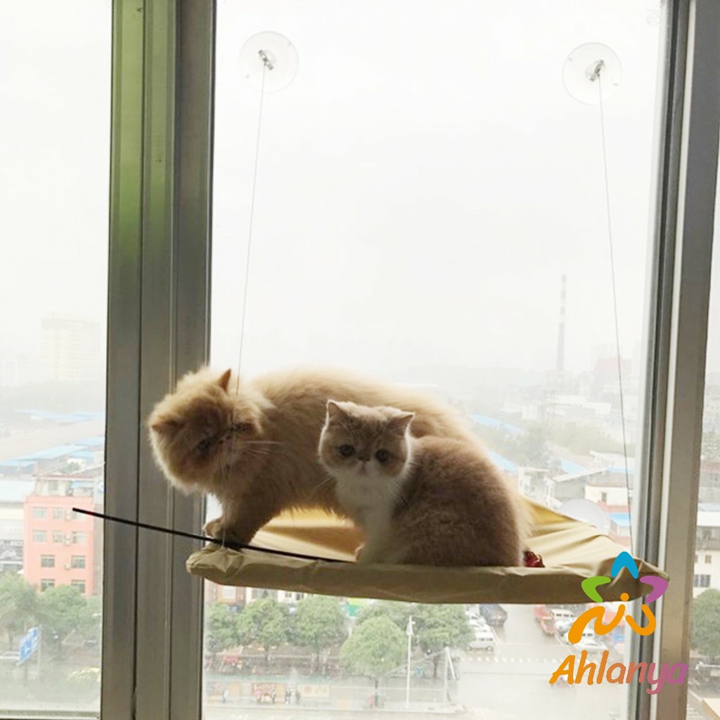 เปลแมว-เปลแมวติดกระจก-ขนาดใหญ่-55x35ซม-รับน้ำหนักได้ถึง-15-kg-ที่นอนแมว-บ้านแมว-ของเล่นแมว-cat-windows-bed-siter