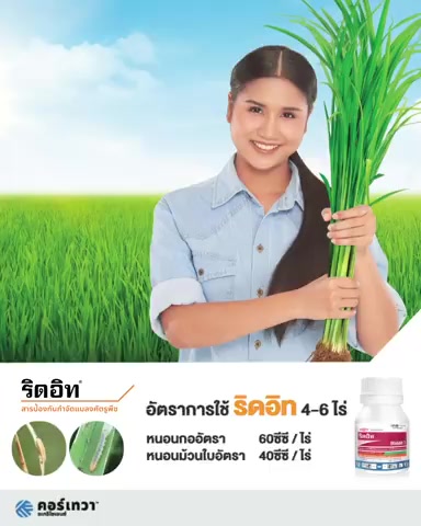 ริดอิท-ขนาด-250-ซีซี-กำจัดหนอนม้วนใบ-หนอนกัดใบข้าว-หนอนใยผัก-หนอนเขียว-เพลี้ยไฟ-ยาหนอน