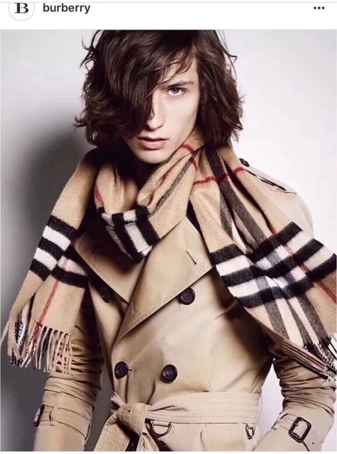 ผ้าพันคอburberry-scarf