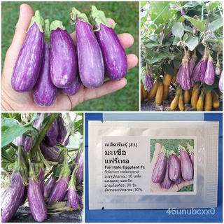 （คุณภาพสูง เมล็ด）เมล็ดพันธุ์ มะเขือ แฟรี่เทล (Fairytale Eggplant F1 Seed) บรรจุ 10 เมล็ด คุณภ/ง่าย ปลูก สวนครัว เมล็ด ZZ