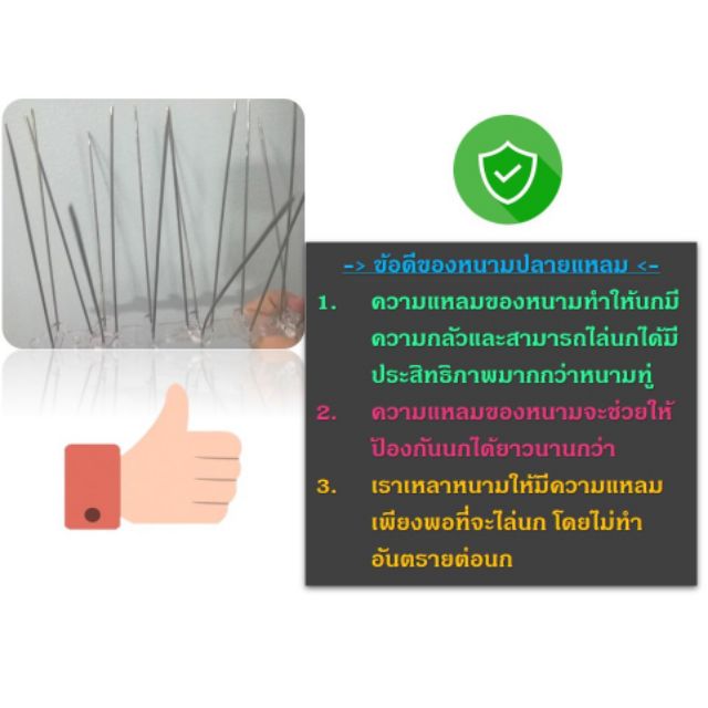 หนามกันนกฐาน-สแตนเลส-ปลายแหลม-20-เส้น-แถม-กาวตะปู-1หลอด