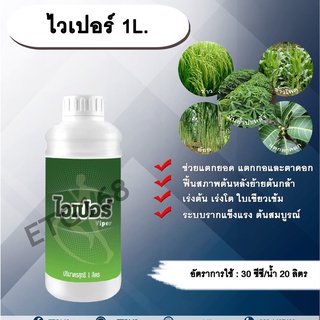 ไวเปอร์ 1L.สาหร่าย อะมิโน แตกยอด แตกกอ ตาดอก ฟื้นสภาพต้นหลังย้ายกล้า และหลังเก็บเกี่ยว เร่งต้น เร่งโต ใบเขียวเข้ม