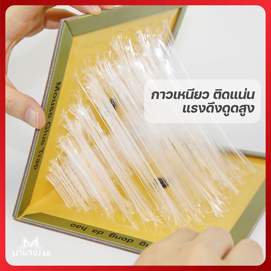 แผ่นกาวดักหนู-ถาดกาวดักหนู-รุ่นกระทิงทอง-70g