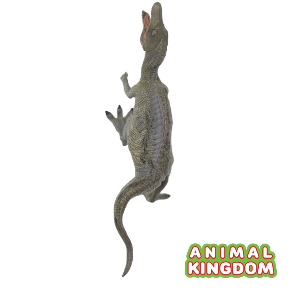 animal-kingdom-โมเดลไดโนเสาร์-spinosaurus-เขียว-ขนาด-19-00-cm-จากหาดใหญ่