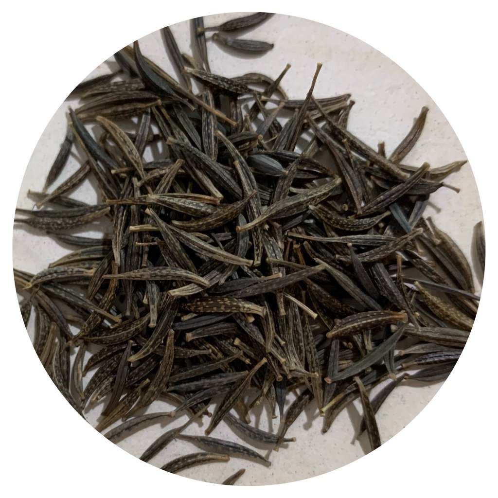 เมล็ดอวบอ้วน100%พร้อมส่ง รหัส 136 เมล็ดพันธุ์แท้ OP แท้ ดาวกระจายซีเชล ...