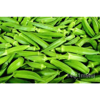 123. Lady’s Finger Green seeds SetA Free Postal Mail  10x2pcs SetB Standard Mail  10pcs in SG园艺/裙子/鲜花/儿童/苹果/向日葵/通心菜/木瓜/ห