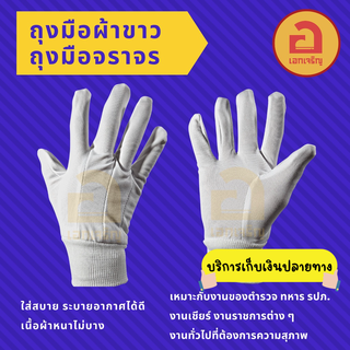 ถุงมือผ้าขาว ถุงมือจราจร ถุงมือตำรวจ ทหาร รปภ. งานเชียร์ งานราชการต่าง ๆ งานทั่วไปที่ต้องการความสุภาพ ขนาดฟรีไซต์❗❗