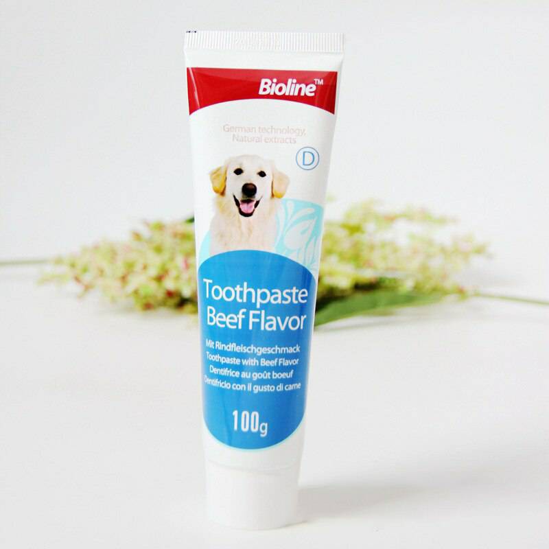ภาพหน้าปกสินค้าBioline ยาสีฟันสำหรับสุนัข ลดการเกิดคราบพลัค ลมหายใจสะอาด หอมสดชื่น มี 2 กลิ่น 100 g. จากร้าน puree_petshop บน Shopee