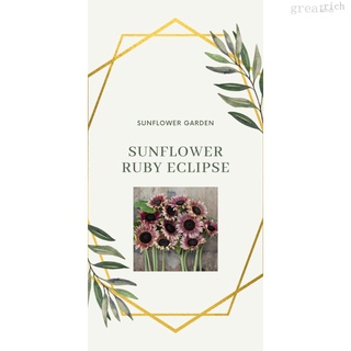 Sunflower Ruby Eclipse (10 seeds)园艺/花园/裙子/手链/头饰/母婴/玫瑰/通心菜/木瓜/上衣/ QKKD