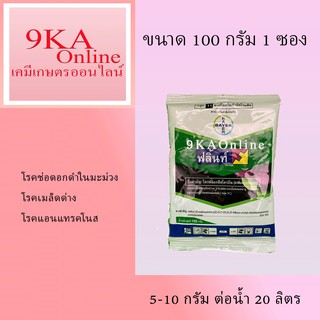 ฟลิ๊น 100 กรัม 1 ซอง