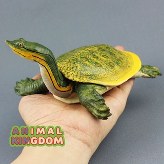Animal Kingdom - โมเดลสัตว์ ตะพาบน้ำ ขนาด 17.00 CM (จากสงขลา)