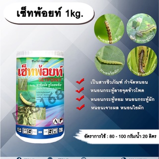 เซ็ทพ้อยท์ 1kg. BT เชื้อแบคทีเรีย บาซิลลัส ทูริงเยนซิส สารกำจัดหนอน สารชีวภัณฑ์ หนอนกระทู้ลายจุดข้าวโพด หนอนใย