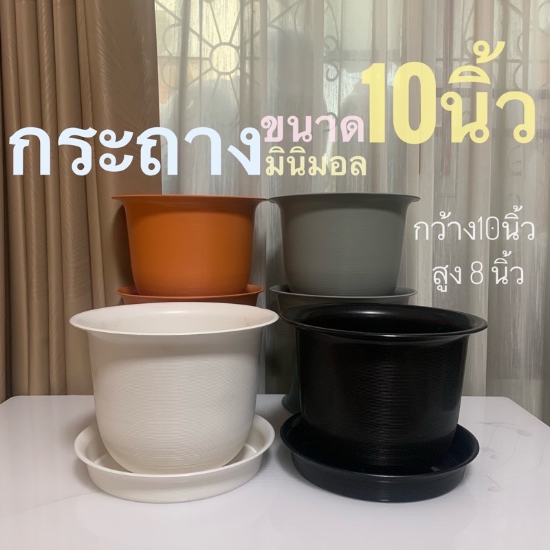 ภาพหน้าปกสินค้ากระถางต้นไม้ ขนาด 10 นิ้ว / 8 นิ้ว / 6 นิ้ว มี 4 สี กระถางพลาสติก กระถาง minimal