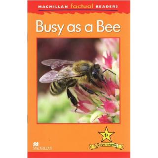 DKTODAY หนังสือ MAC.FACTUAL READERS 1:BUSY AS A BEE