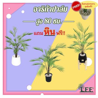 ((ต้นไม้ยอดนิยม!)) ต้นอาริก้าปาล์ม 80 ซม. #ต้นไม้ปลอมตกแต่งบ้าน Leeartplants (๒)