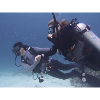 สินค้า SCUBA DIVING คอร์สเรียนดำน้ำลึก