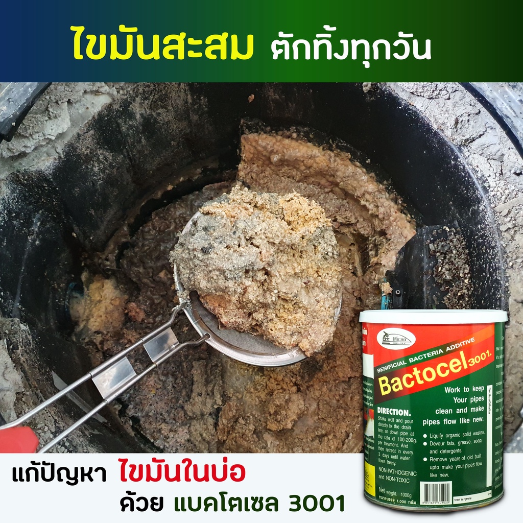 3-กระป๋อง-แบโตเซล-bactocel-3001-1000g-น้ำยาล้างไขมัน-น้ำยาดับกลิ่น-ย่อยสลายไขมัน-กำจัดไขมัน-ดับกลิ่นเหม็นไขมัน