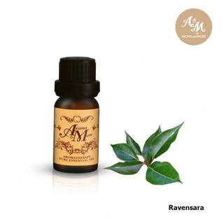 Aroma&amp;More Ravensara essential oil 100% / น้ำมันหอมระเหยราเวนซารา 100% มาดากัสการ์ / Madagascar 5/10/30ML