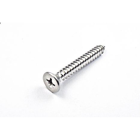 fastenic-สกรูเกลียวปล่อย-ฟาสเทนนิค-หัวf-no-10