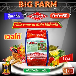 บรรจุ 5 กิโลกรัม WESCO ปุ๋ย 0-0-50+S(กำมะถัน) ปุ๋ยเกล็ด เวสโก้ เพิ่มความหวาน สีเข้ม ได้น้ำหนัก