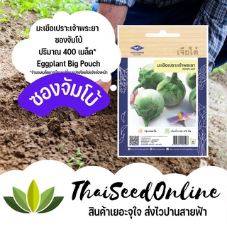 สินค้า เมล็ดพันธุ์ มะเขือเปราะเจ้าพระยา 450 เมล็ด ซองจัมโบ้ เพิ่มปริมาณมากกว่า 3 เท่า！ตราเจียไต๋ Eggplant