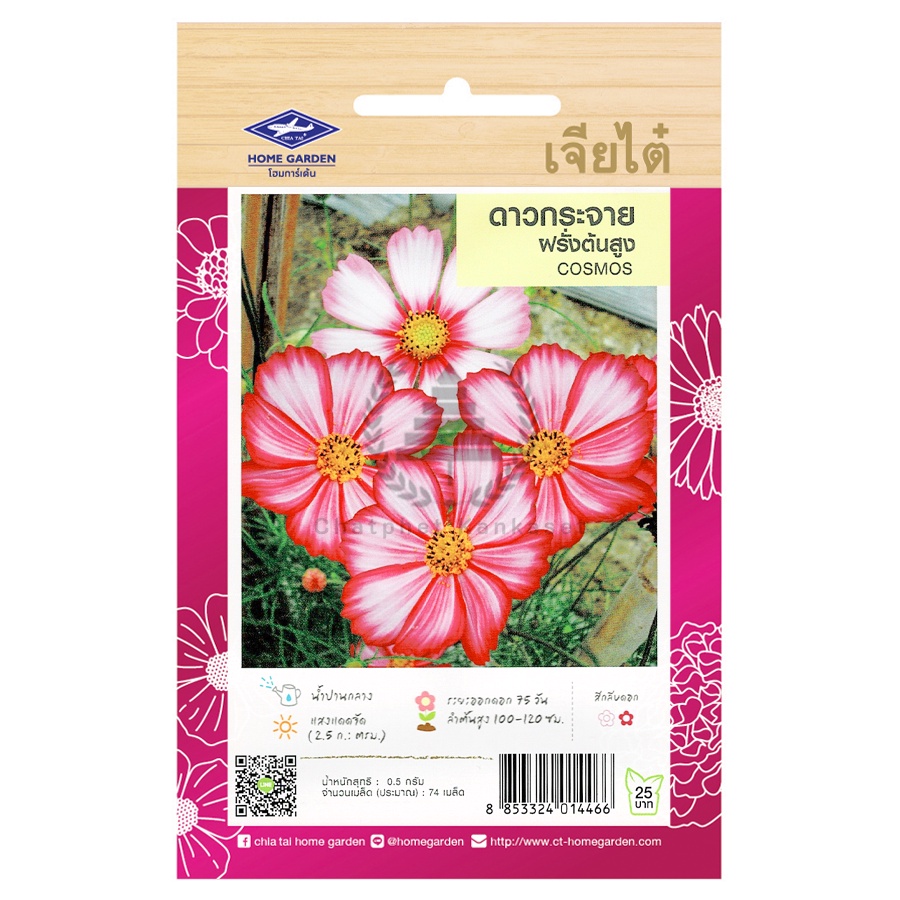 เมล็ดพันธ์ุ-ดาวกระจายฝรั่งต้นสูง-0-5-กรัม-74-เมล็ด-ซอง-ตราเจียไต๋