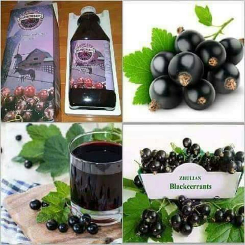 น้ำผลไม้-blackcurrant-รสองุ่น