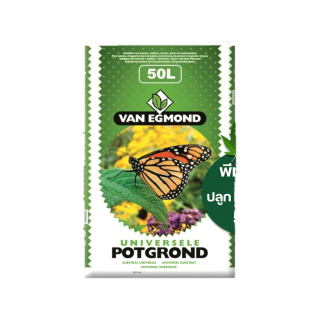 ดินปลูกสมุนไพรสายเขียว พีทมอส ปลูกพืชสมุนไพร สายเขียว ออร์แกนิค 50 ลิตร VEP-Mix (นำเข้าเนเธอแลนด์) VAN EGMOND