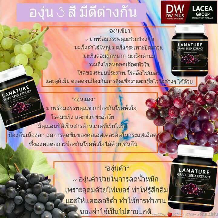 lanature-grape-seed-extract-สารสกัดจากเมล็ดองุ่น