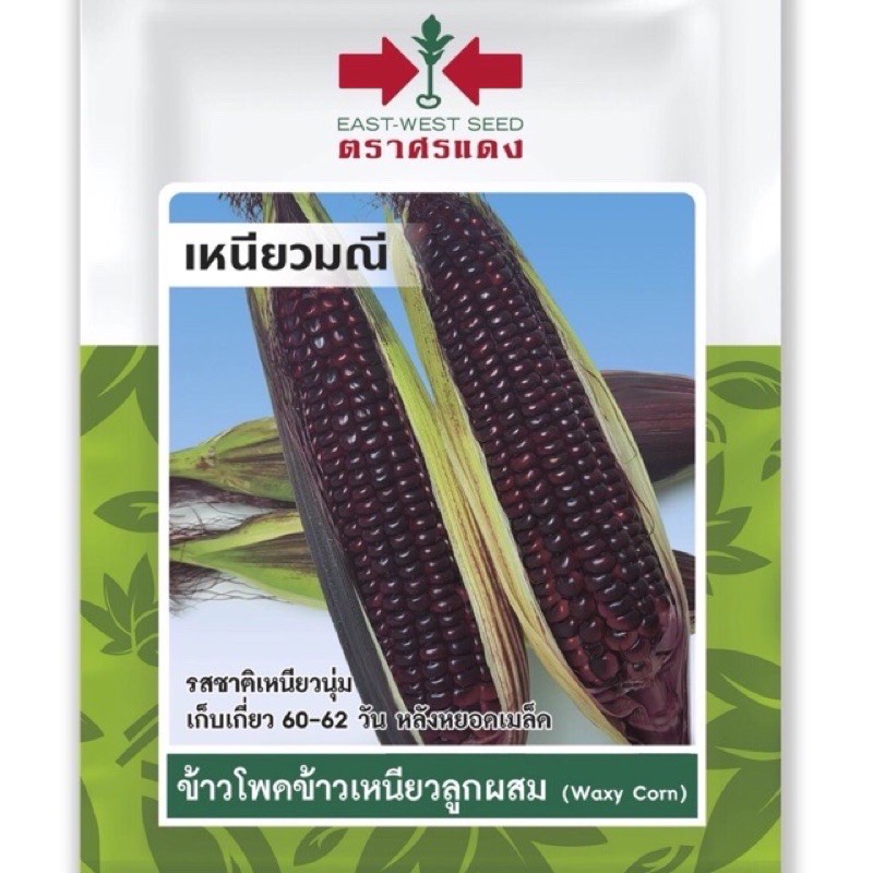 10แถม1-ข้าวโพดข้าวเหนียว-เหนียวมณี-031-เมล็ดพันธุ์-เมล็ดพันธุ์ลูกผสม-เมล็ดพันธุ์ผัก-ผักสวนครัว-ผักศรแดง-ตราศรแดง