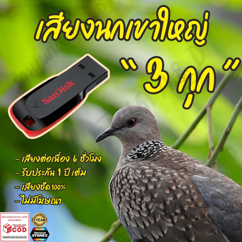 เสียงต่อ-นกเขาใหญ่-3กุก-ยาว6ชั่วโมง-ไม่มีโฆษณา-แฟลชไดร์ฟ-flash-drive-มีเก็บเงินปลายทาง