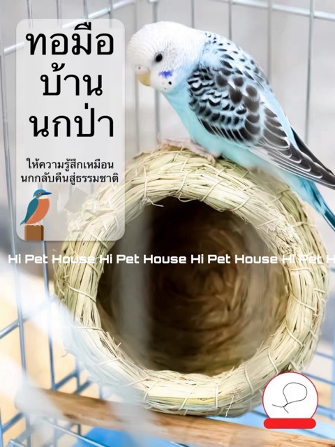 dandan-birds-nest-บ้านนก-นกแก้วขนาดเล็ก-ฟอพัส-เลิฟเบิด-หงหยก-มีพร้อมส่ง