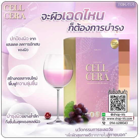 cell-cera-collagen-ผลิตภัณฑ์เสริมอาหารบำรุงผิว-เซลล์เซล่า