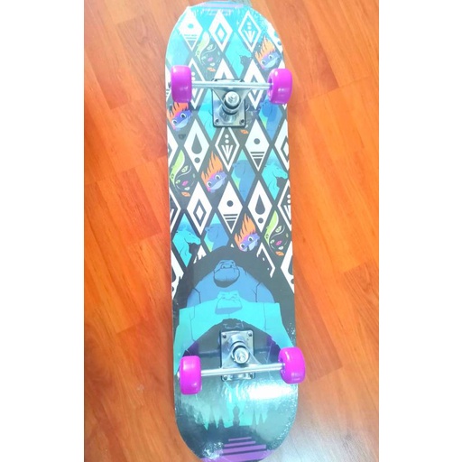 สเก็ตบอร์ด-เอลซ่า-แอนนา-frozen