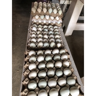 ภาพขนาดย่อของภาพหน้าปกสินค้าไข่เป็ดเวียดนามแท้100% จากร้าน malisa_2557 บน Shopee ภาพที่ 7