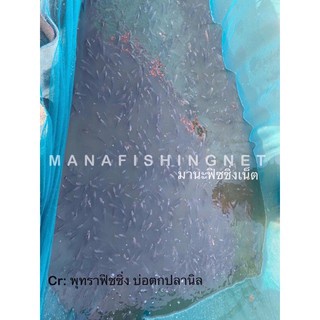 #กระชังเลี้ยงปลา ลูกปลา กุ้ง #กระชังอวนตาถี่ 1 เซ็น 🅰️ขนาด 3x6 สูง 1.8 เมตร