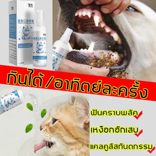 ภาพหน้าปกสินค้ามือปราบกลิ่นปาก MaiLiน้ำยาดับกลิ่นปากแ ต้านเชื้อราได้แรง ลมหายใจสดชื่น น้ำยาดับปากแมว ดับกลิ่นปากแมว ลดกลิ่นปากแมว 100ml ที่เกี่ยวข้อง