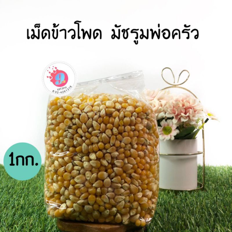 เมล็ดข้าวโพดมัชรูม-เมล็ดข้าวโพดป๊อปคอร์น-mushroom-1kg