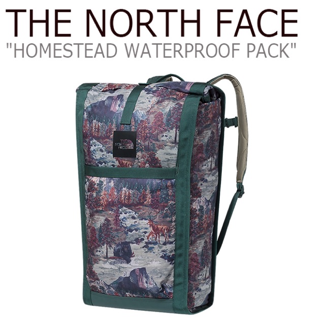 พร้อมส่ง-มือสอง-the-north-face-homestead-waterproof-backpack-darkest-spruce-yosemite-sofa-print-darkest-spruce