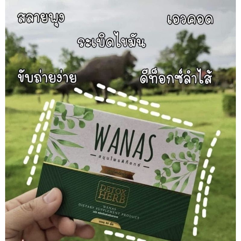 wanas-detox-herb-สมุนไพร-ดีท็อกซ์-วนัส