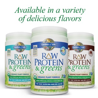 Garden of Life, RAW Protein & Greens, Organic Plant Formula, Vanilla, 19.40 oz (550 g)