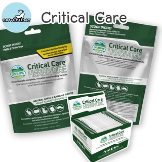 ภาพหน้าปกสินค้าCatHoliday คริติคอล เเคร์ Critical Care โภชนาการอาหารเพื่อฟื้นฟูสัตว์กินพืช ที่เกี่ยวข้อง