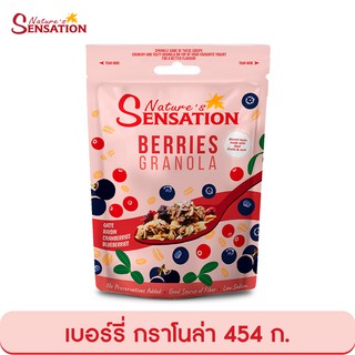 สินค้า เนเจอร์ เซ็นเซชั่น เบอร์รี่ กราโนล่า 454 ก. Nature’s Sensation Burries Granola 454 g.