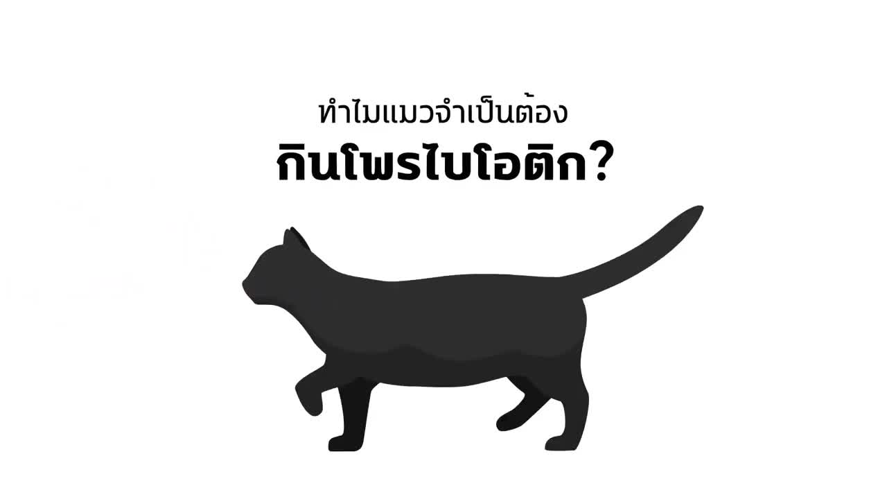 เห็นผลใน7วัน-โพรไบโอติก-สุนัขและแมว-แก้ท้องเสีย-ท้องผูก-ท้องอืด-ลำไส้อักเสบเรื้อรัง-ระบบย่อยมีปัญหา-gut-booster