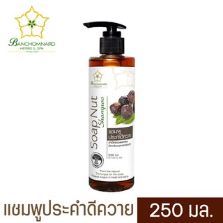 แชมพูประคำดีควาย 250 มล. Soap Nut Shampoo 250 ml. ปัญหาเรื่องรังแค และเชื้อราบนหนังศีรษะ ผมหงอกก่อนวัย ควรใช้เป็นประจำ