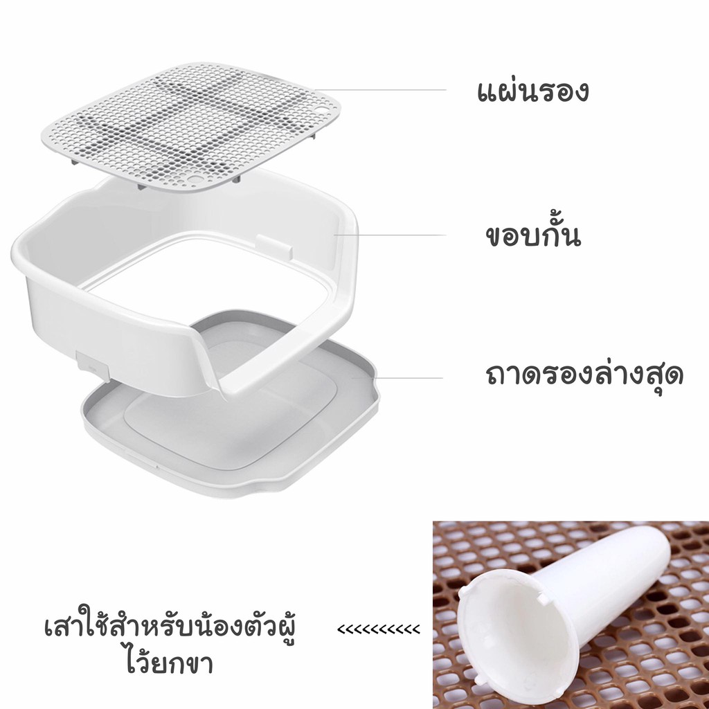 catholiday-ห้องน้ำหมาขอบโค้ง-ห้องน้ำสัตว์เลี้ยง-ห้องน้ำหมา