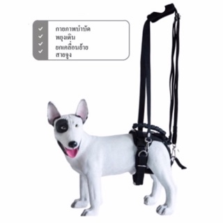 PetWell Harness ชุดอุปกรณ์พยุงเพื่อกายภาพบำบัด สำหรับสุนัขไซส์ S (รอบอกหรือรอบเอว35-46cm.)