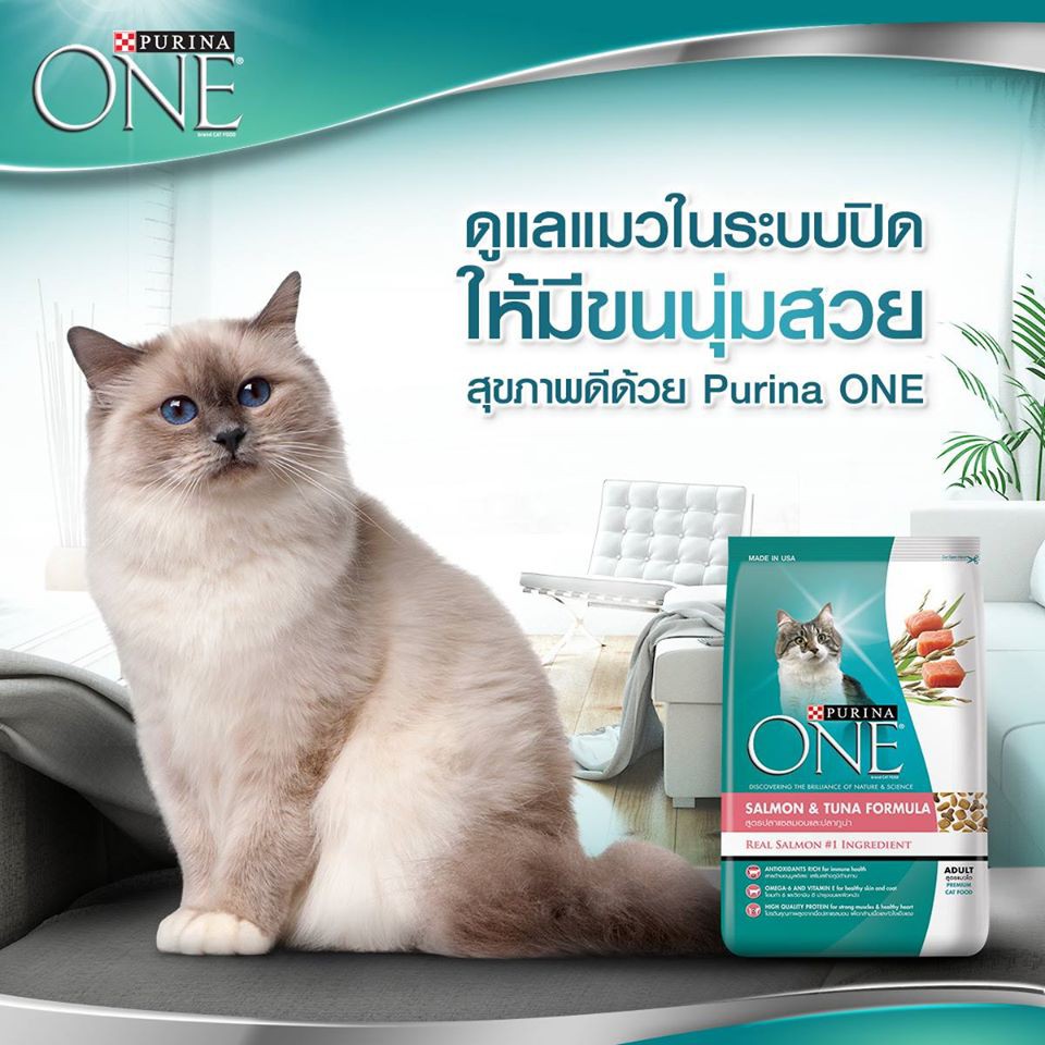 แบ่งขาย-purina-one-อาหารแมว-เพียวริน่า-วัน-1-กิโลกรัม-ลูกแมว