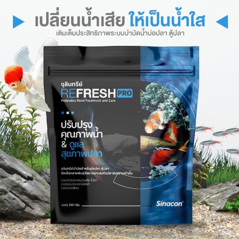 refresh-pro-จุลินทรีย์บำบัดน้ำเสียในบ่อปลา-ตู้ปลา-250g-ฟรีช้อนตักจุลินทรีย์