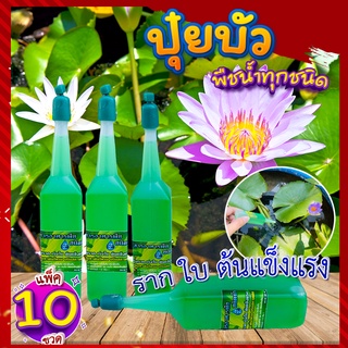 ปุ๋ยบัว(แพ็ค 10 ขวด) 🍀  บำรุงทุกส่วน ราก ใบ ต้นแข็งแรง ปุ๋ยน้ำไฮโดรโปนิกส์ 38 ml. ปุ๋ยบัวเร่งโต ปุ๋ยไม้น้ำทุกชนิด